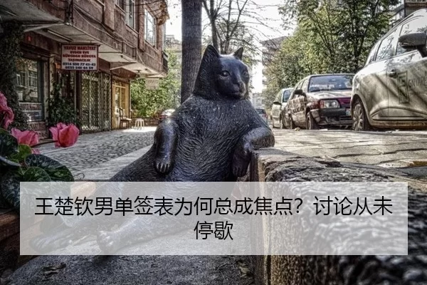 wang-chu-qin-nan-dan-qian-biao-wei-he-zong-cheng-jiao-dian-tao-lun-cong-wei-ting-xie-2-668.jpg