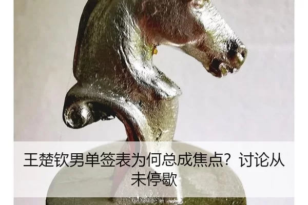 王楚钦男单签表为何总成焦点？讨论从未停歇